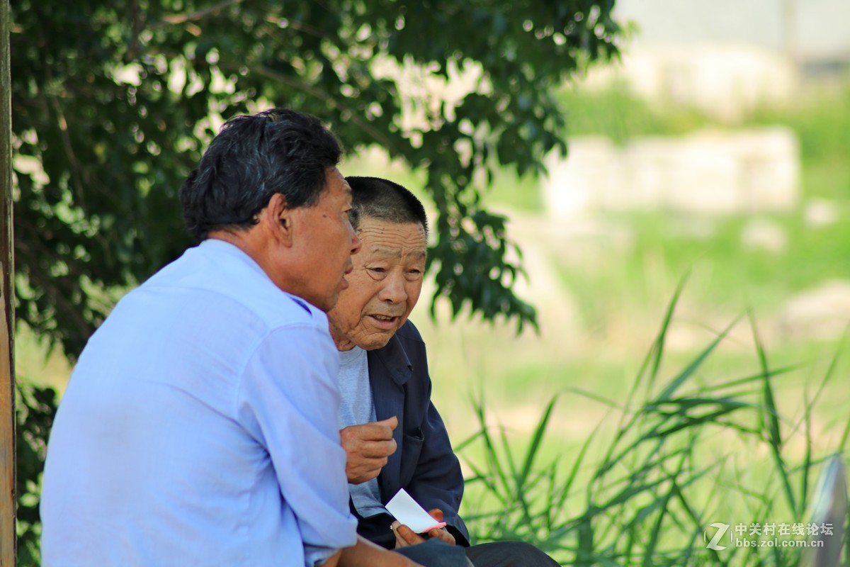 才入的便宜头，腾龙70—300，无防抖，拍了几张片子请看一看