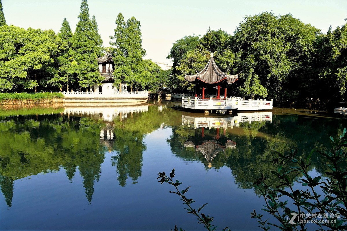 上海匯龍潭公園美景