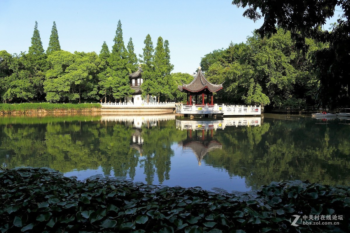 上海匯龍潭公園美景