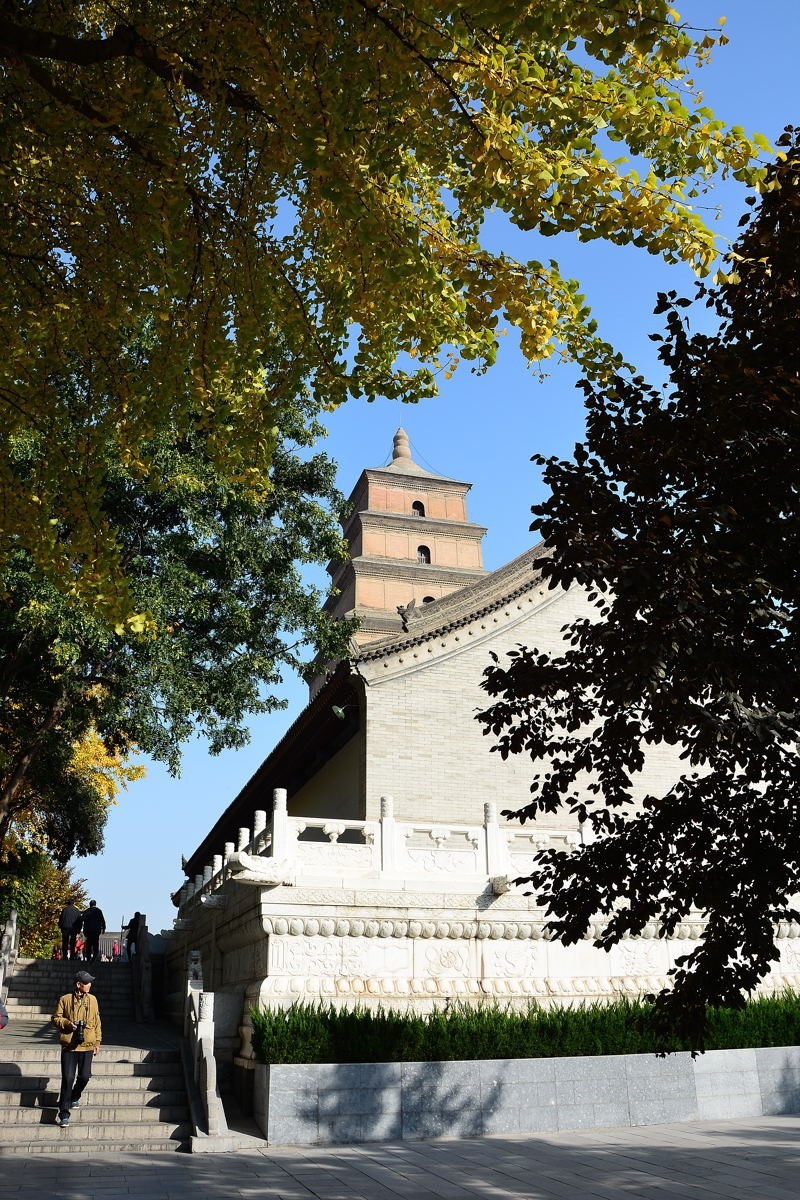 西安大雁塔小景