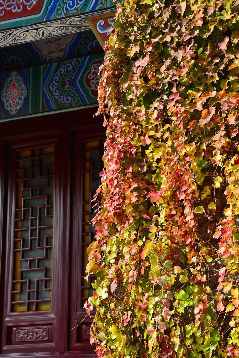 西安大雁塔小景