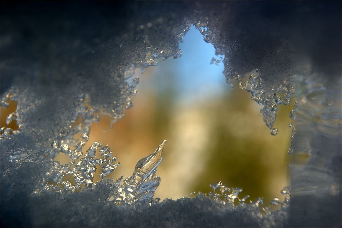 休闲随拍（373）