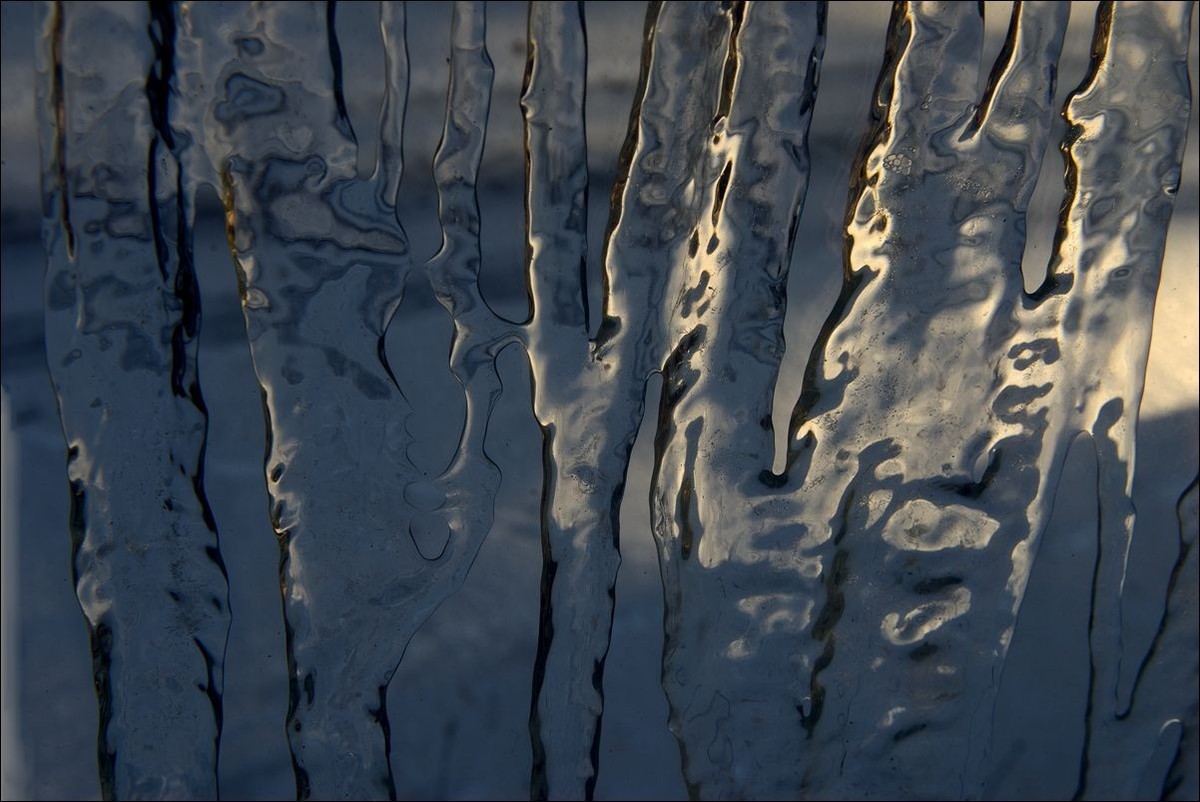 休闲随拍（373）