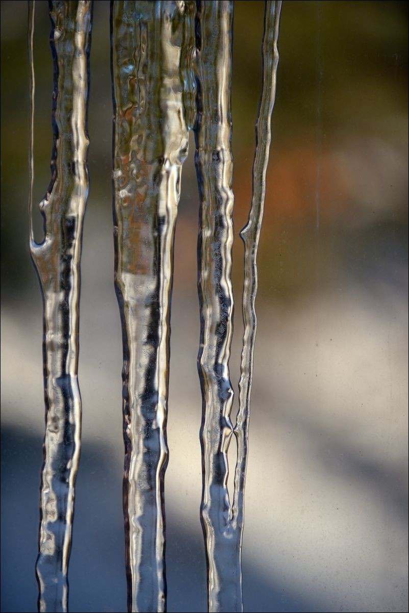 休闲随拍（373）