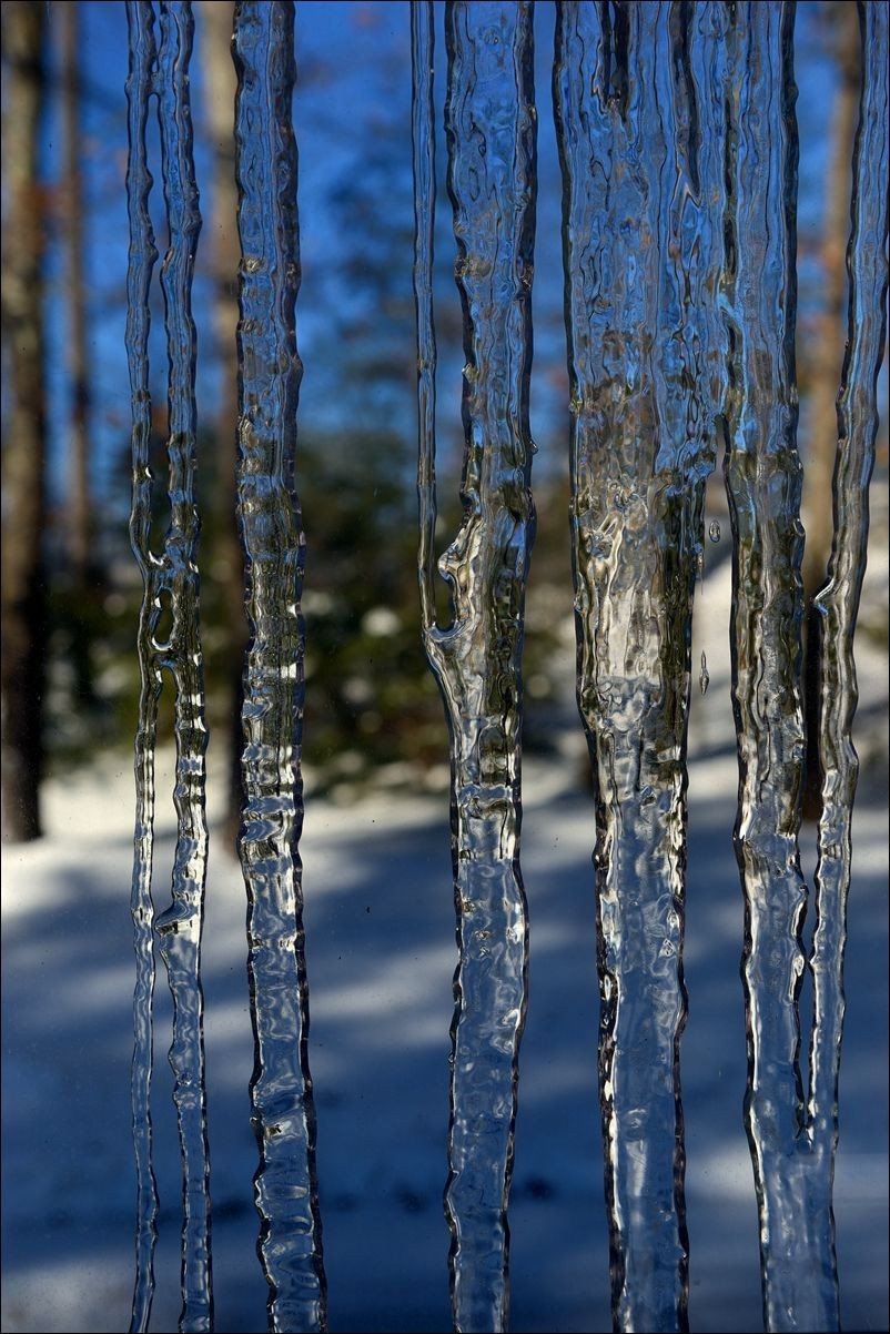 休闲随拍（373）