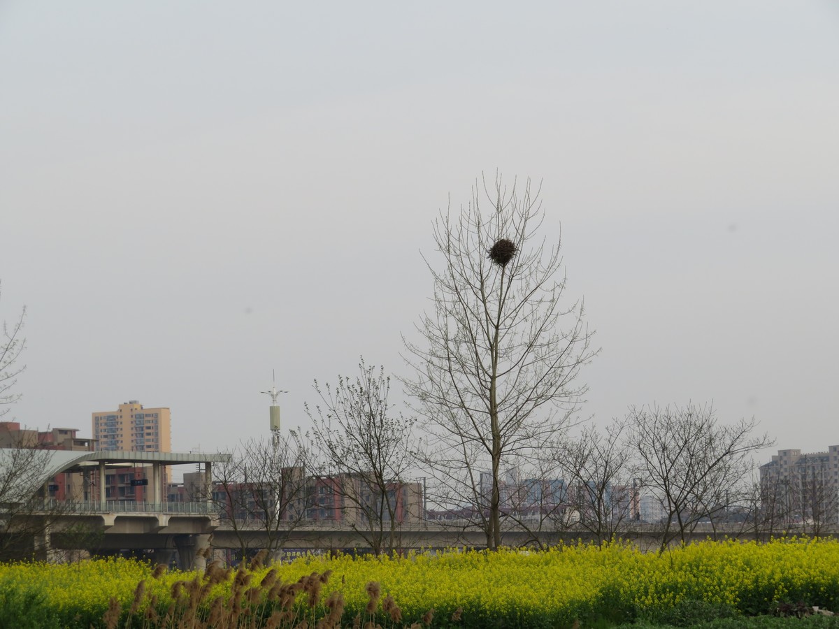 佳能SX720 HS试拍几张长焦效果（手持）