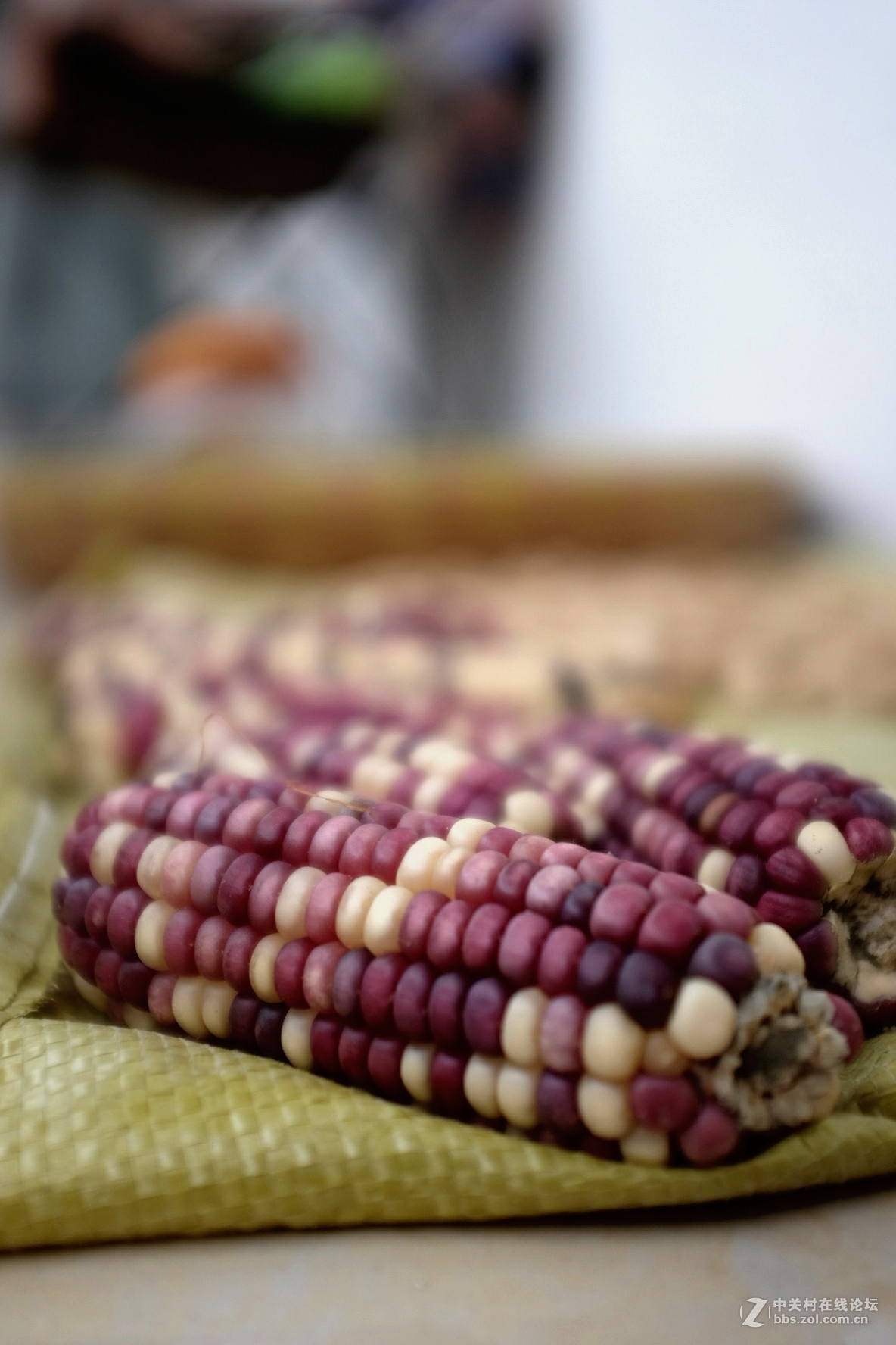 刚入x100t，复古情怀~国庆day1下雨，在家试试f2.0，小调了色阶