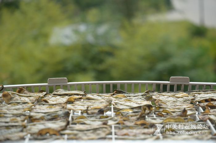 国庆哪也没去，在家门口转转拍几片