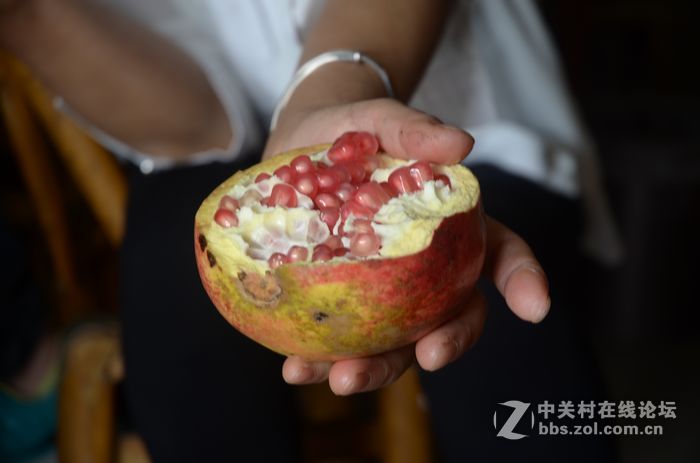国庆哪也没去，在家门口转转拍几片