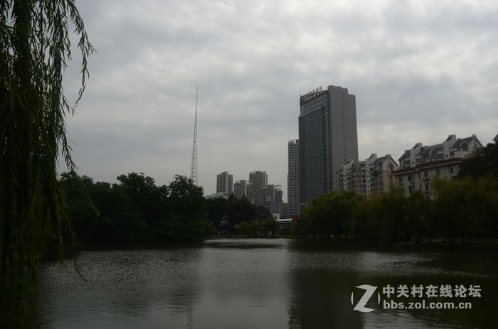 国庆哪也没去，在家门口转转拍几片