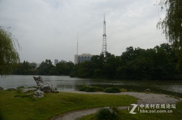 国庆哪也没去，在家门口转转拍几片