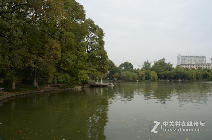 国庆哪也没去，在家门口转转拍几片