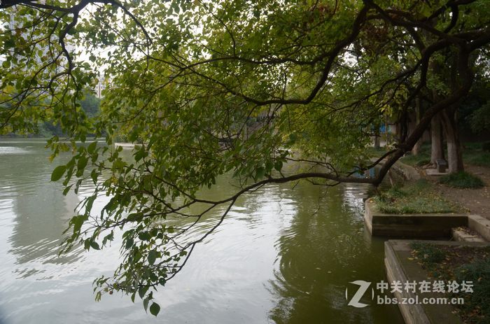 国庆哪也没去，在家门口转转拍几片