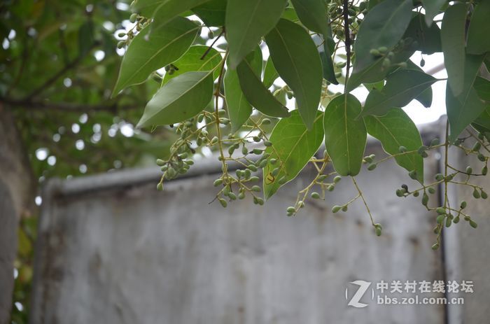 国庆哪也没去，在家门口转转拍几片