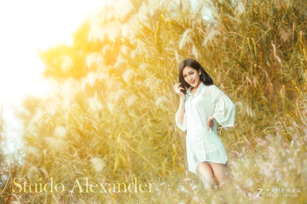 #2015MissChinajoy摄影大赛# 秋日の色