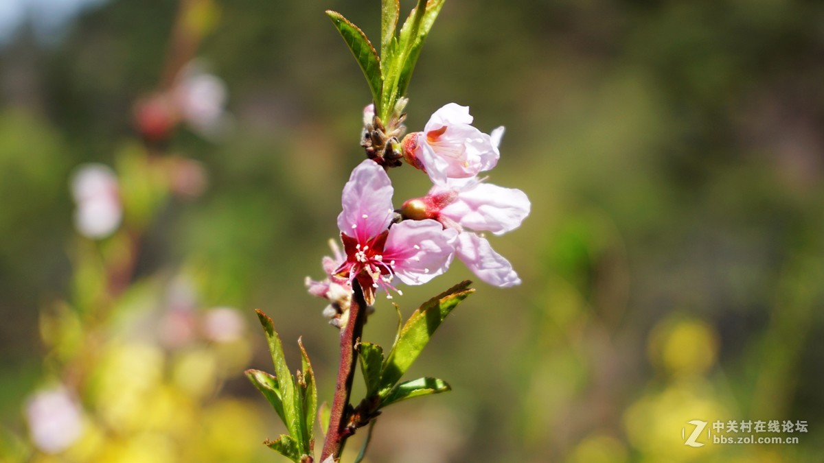 飞瀑清潭九如山