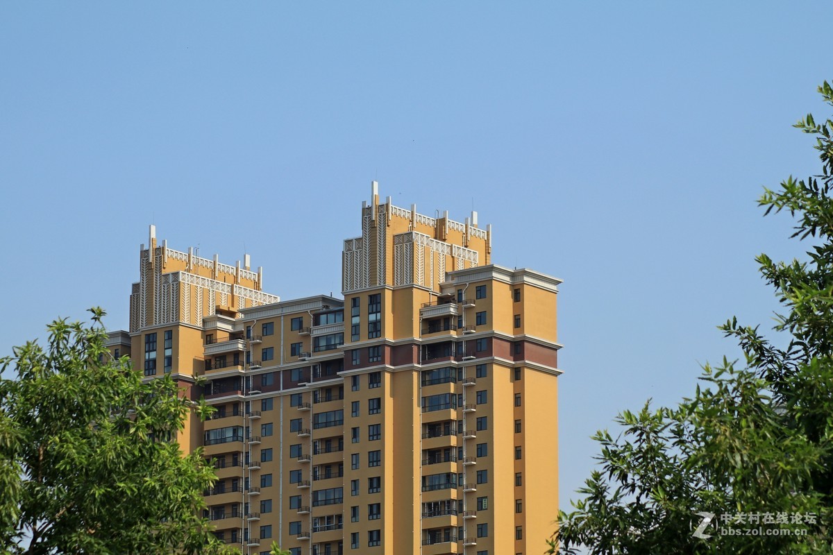 才入的便宜头，腾龙70—300，无防抖，拍了几张片子请看一看