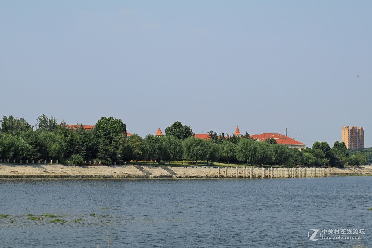 才入的便宜头，腾龙70—300，无防抖，拍了几张片子请看一看