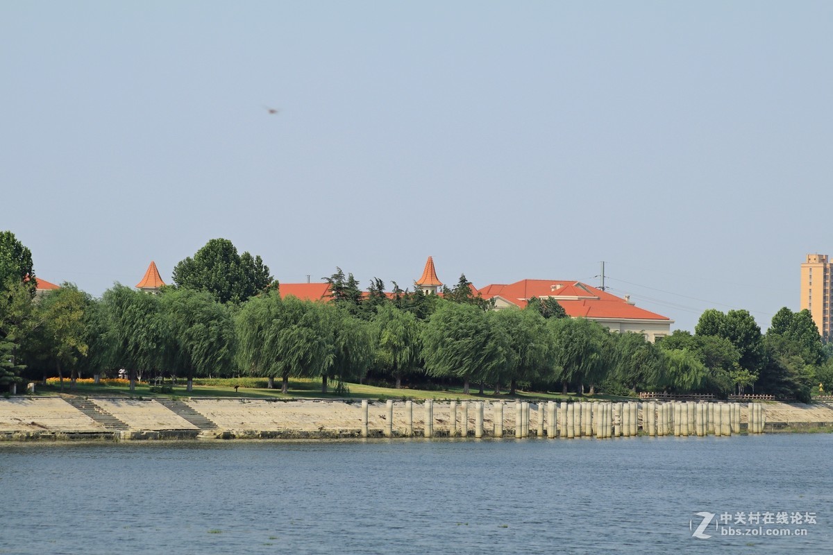 才入的便宜头，腾龙70—300，无防抖，拍了几张片子请看一看