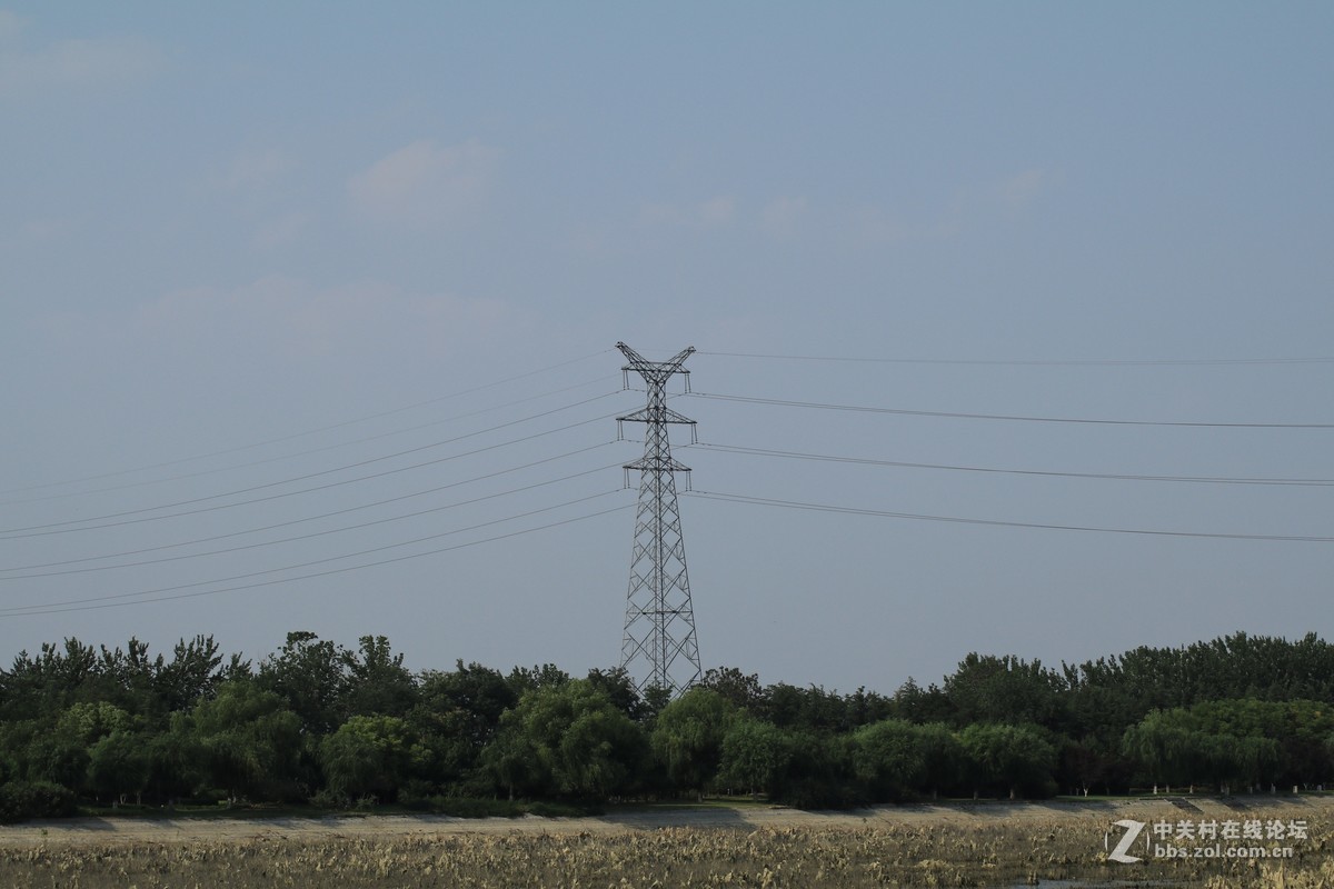 才入的便宜头，腾龙70—300，无防抖，拍了几张片子请看一看