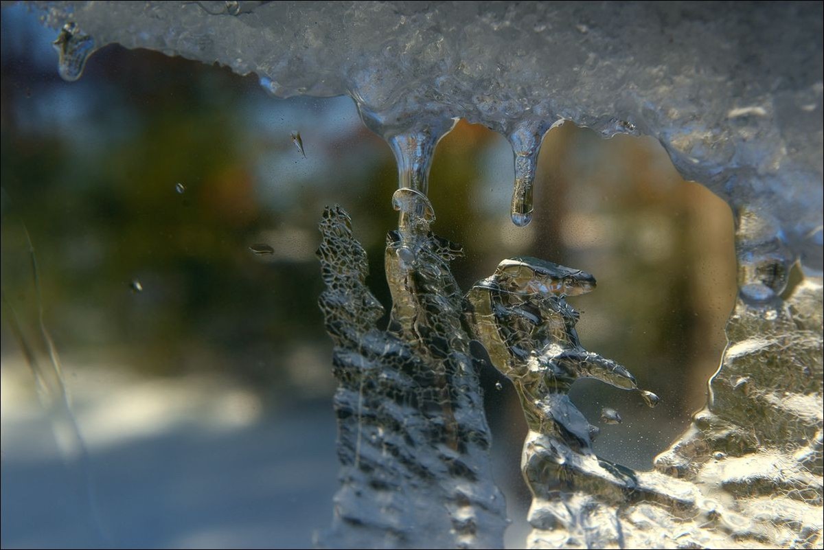 休闲随拍（373）