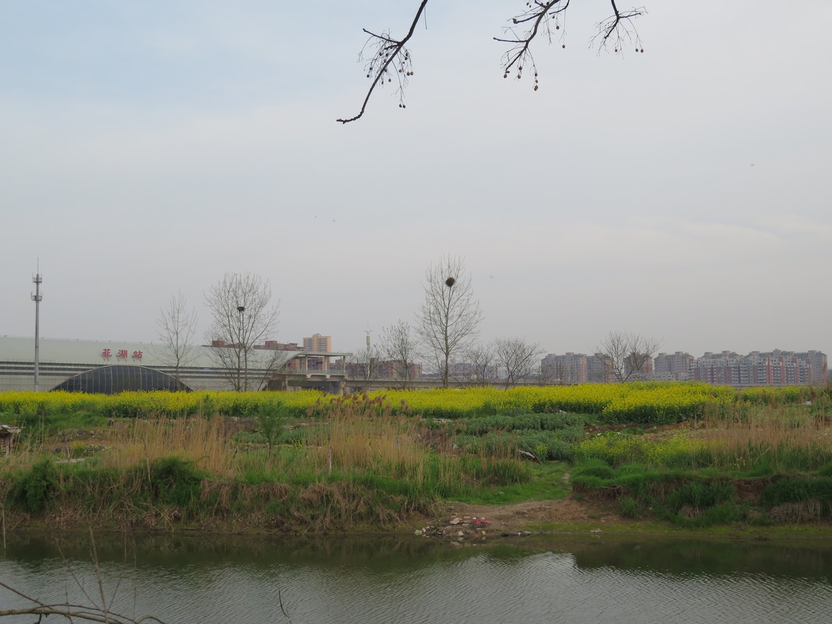 佳能SX720 HS试拍几张长焦效果（手持）