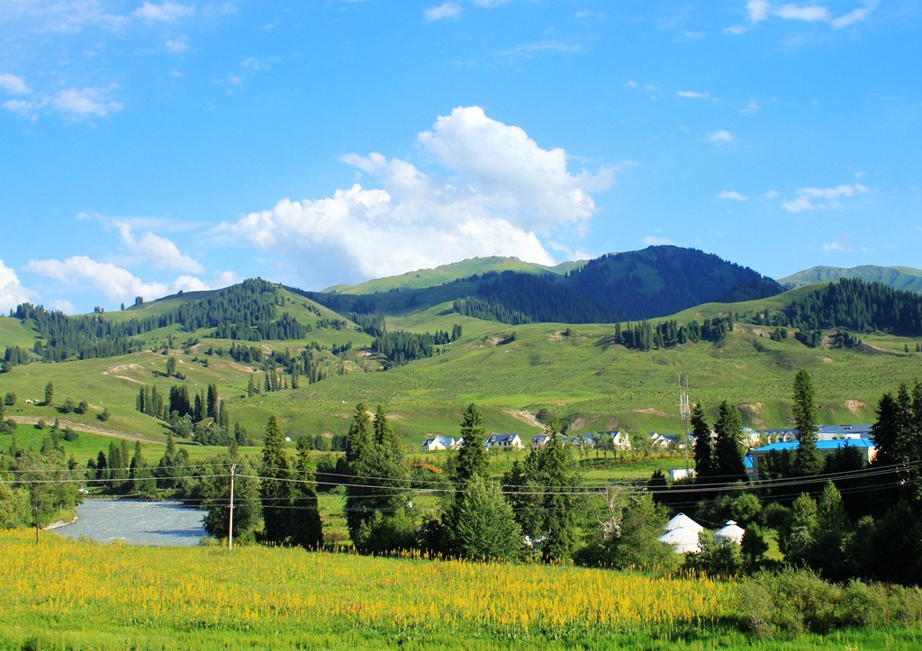 百里画廊新疆伊犁唐布拉