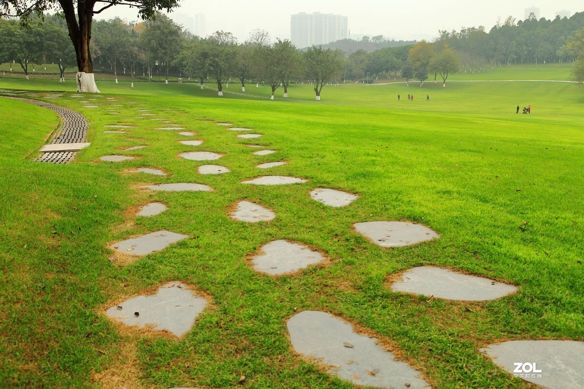 重慶中央公園遊拍