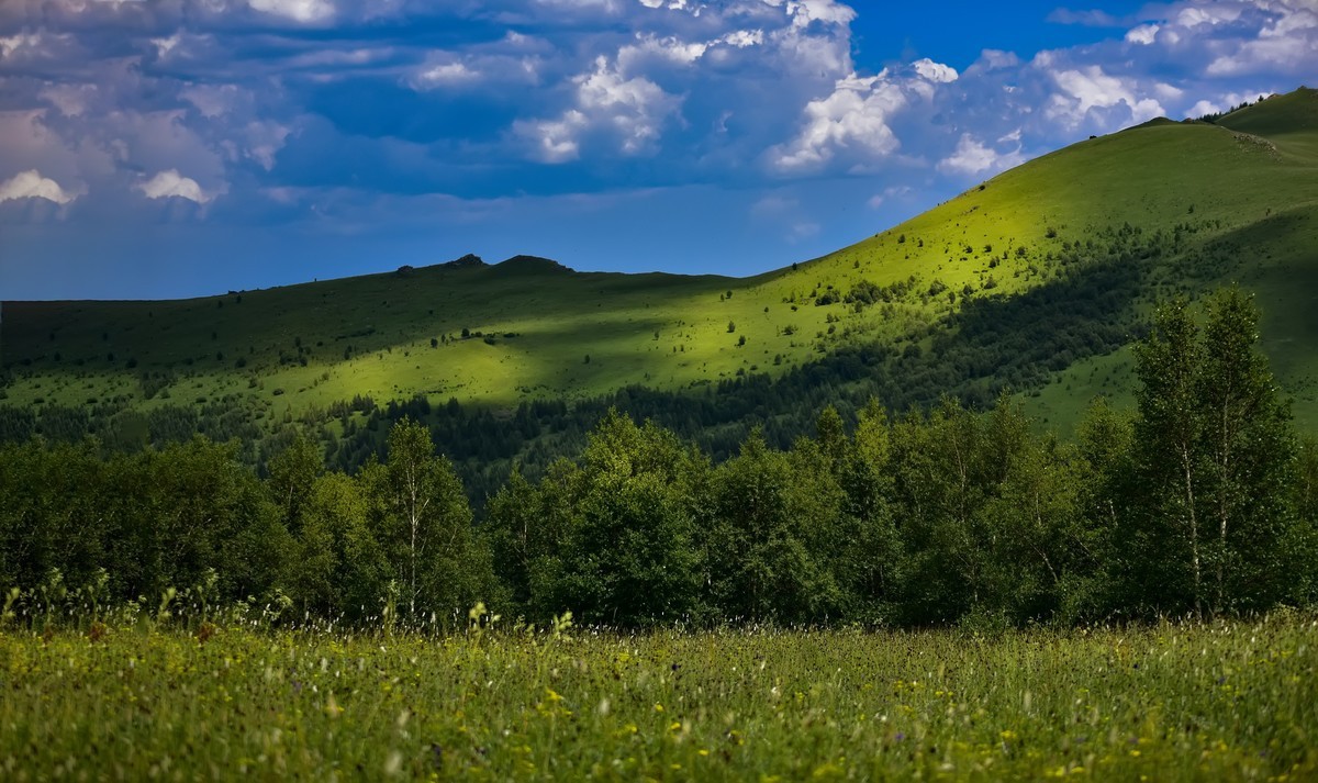 #回顾2019#不忘初心，热忱不减