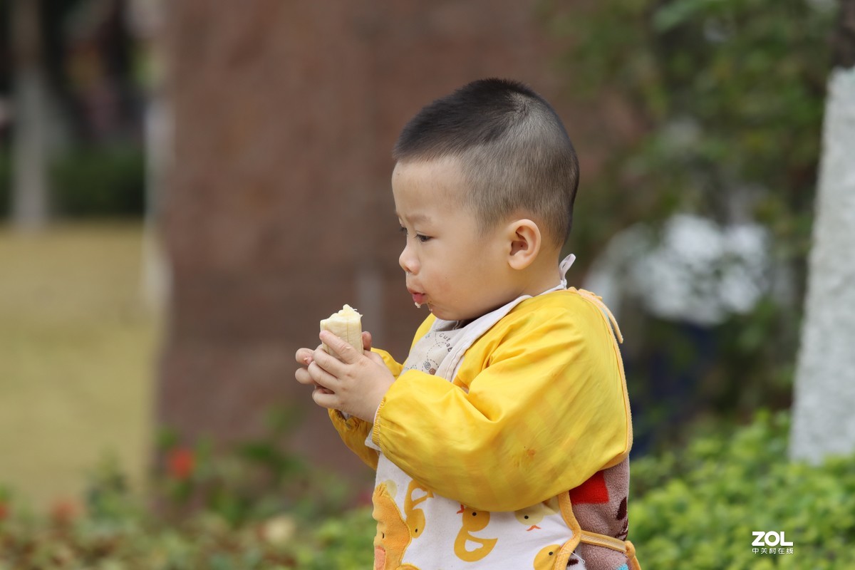 一代IS小小白首拍，恳请版主和众师友指教
