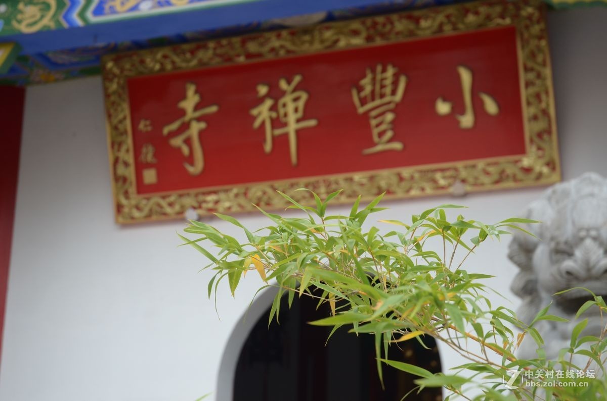 乡村随拍