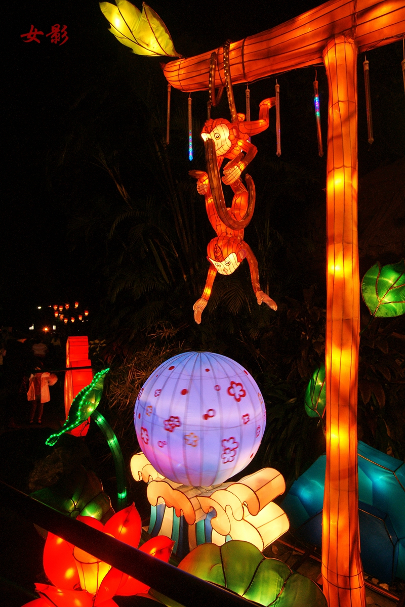 一组[绽放花灯]------元宵节快乐