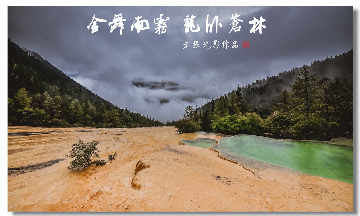 【老张光影】金舞雨雾 龙卧苍林