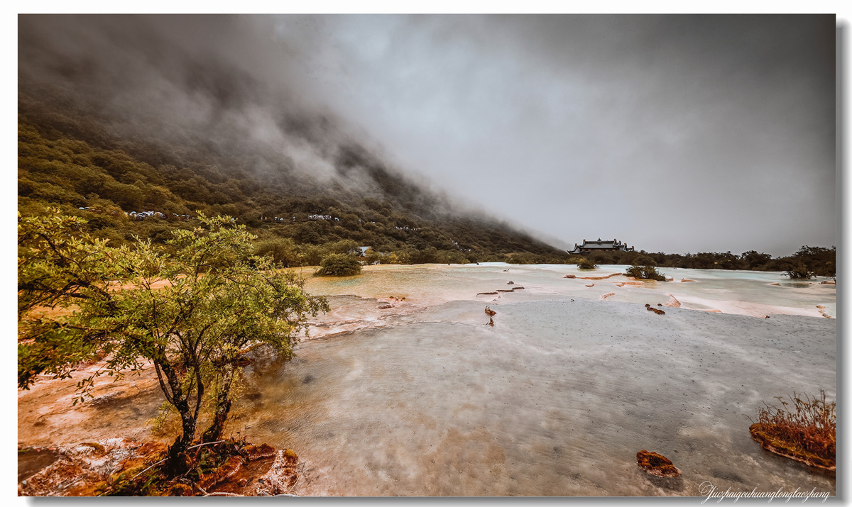 【老张光影】金舞雨雾 龙卧苍林