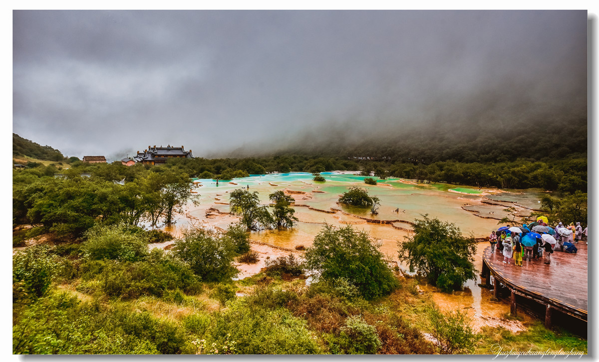【老张光影】金舞雨雾 龙卧苍林
