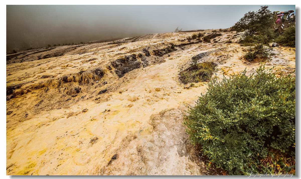 【老张光影】金舞雨雾 龙卧苍林