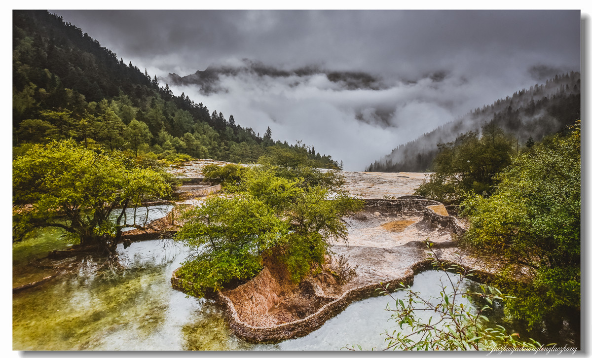【老张光影】金舞雨雾 龙卧苍林