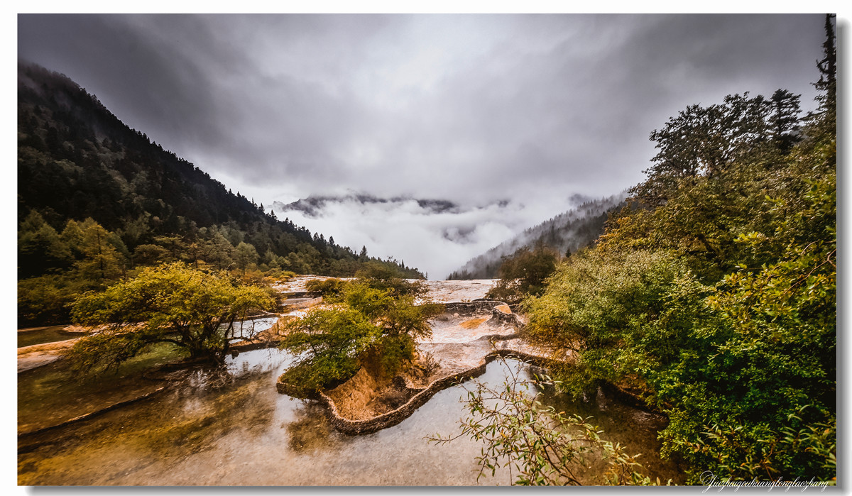【老张光影】金舞雨雾 龙卧苍林