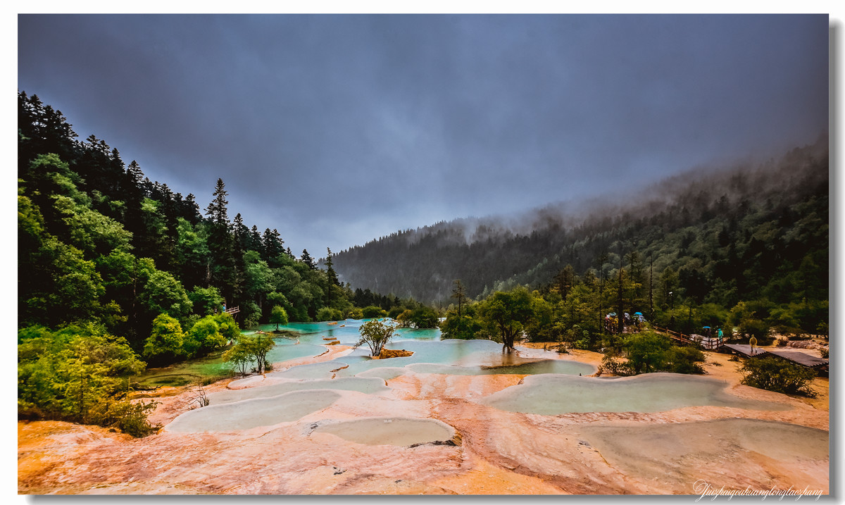 【老张光影】金舞雨雾 龙卧苍林