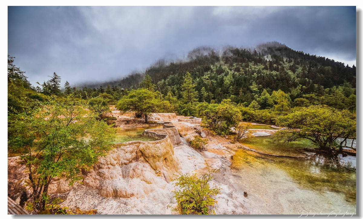 【老张光影】金舞雨雾 龙卧苍林