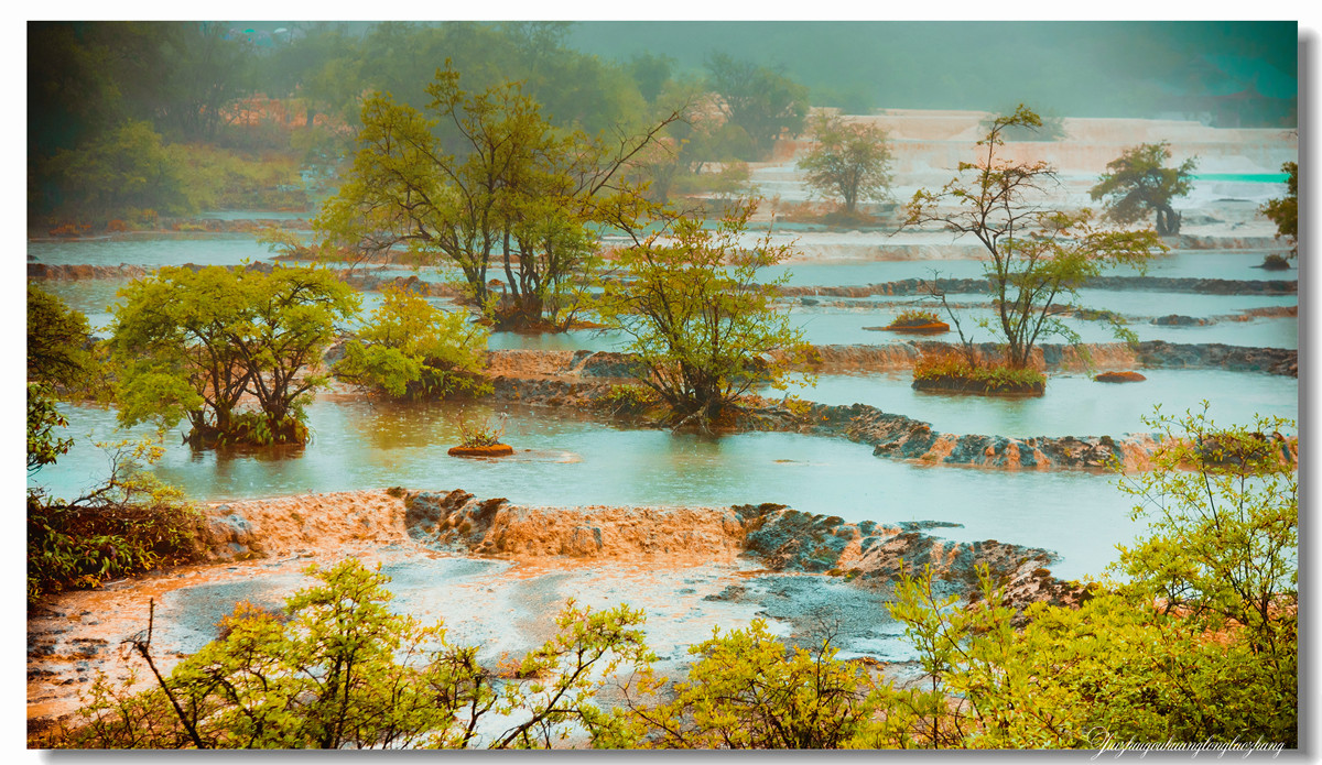 【老张光影】金舞雨雾 龙卧苍林