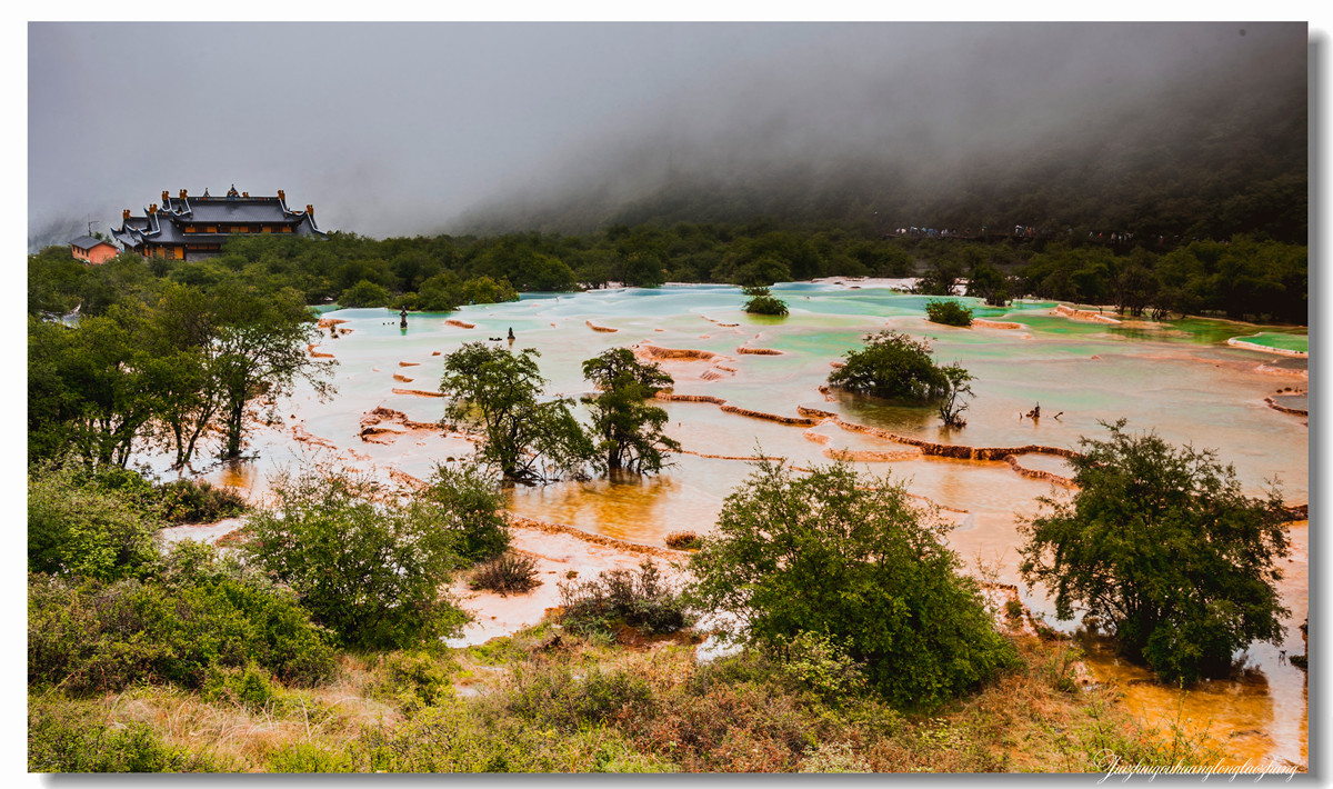 【老张光影】金舞雨雾 龙卧苍林