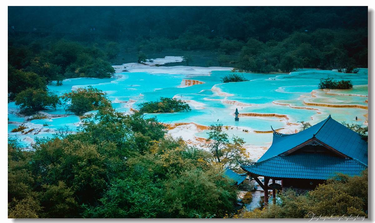 【老张光影】金舞雨雾 龙卧苍林