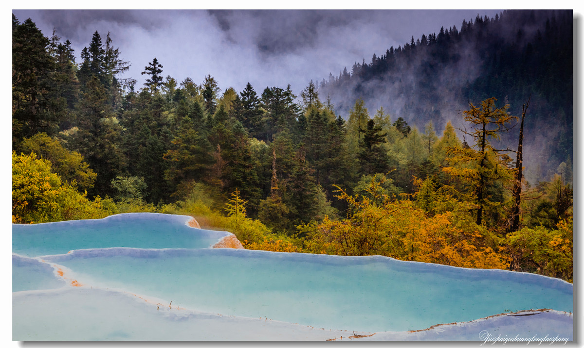 【老张光影】金舞雨雾 龙卧苍林