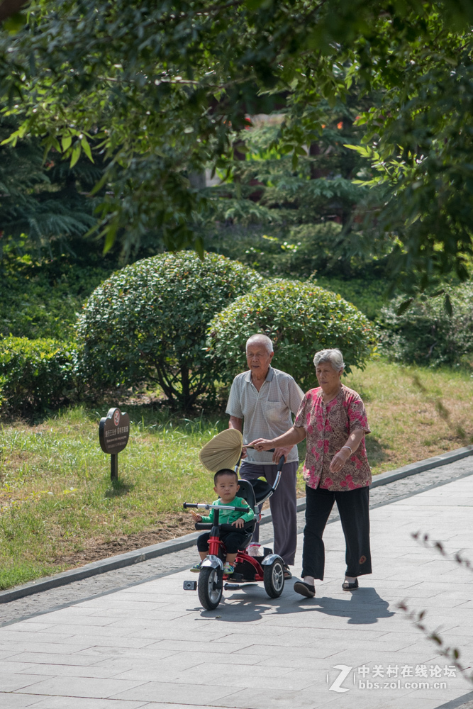 老有所乐yu 老有所为
