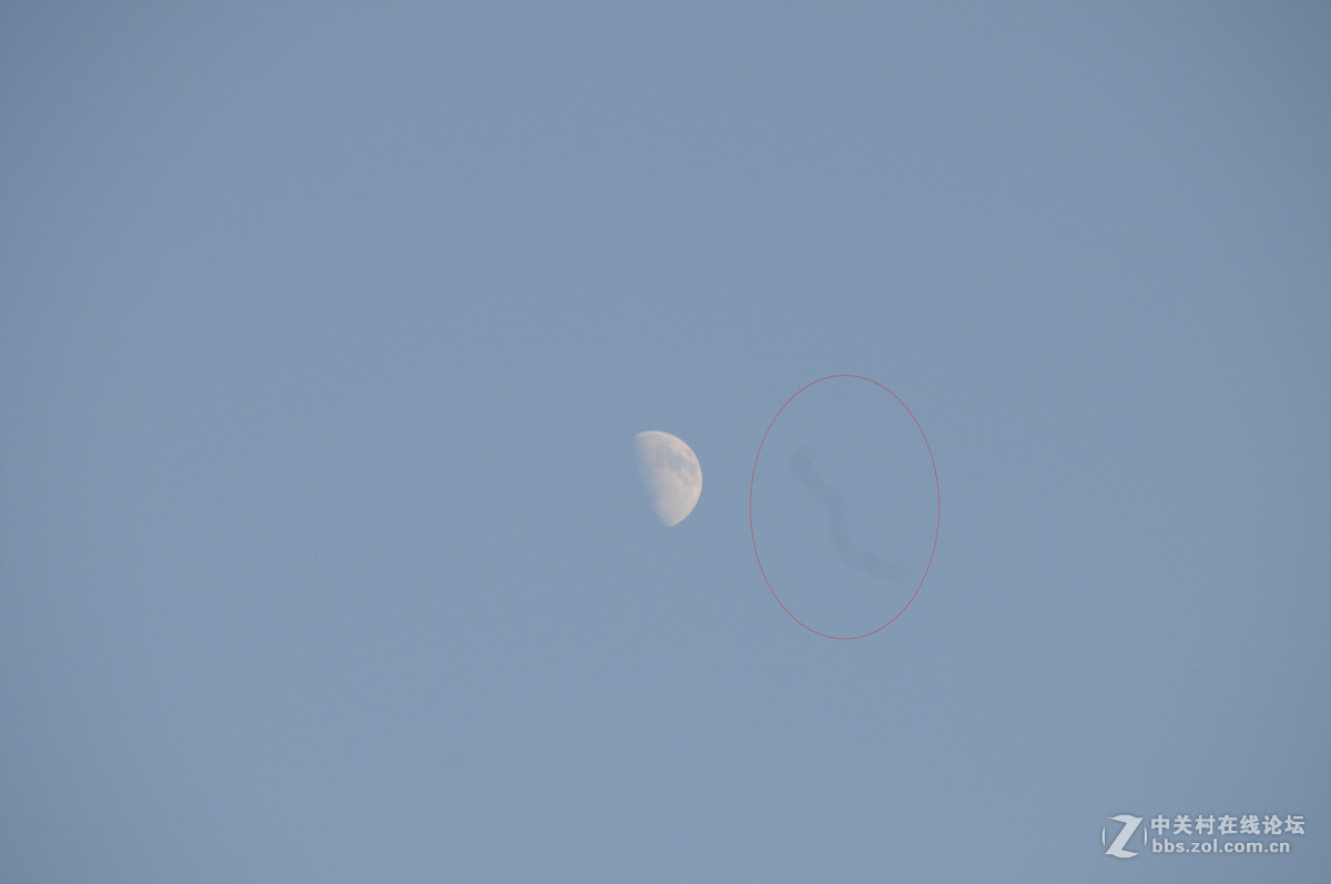 新手求助，D300S拍出的照片有一道划痕？