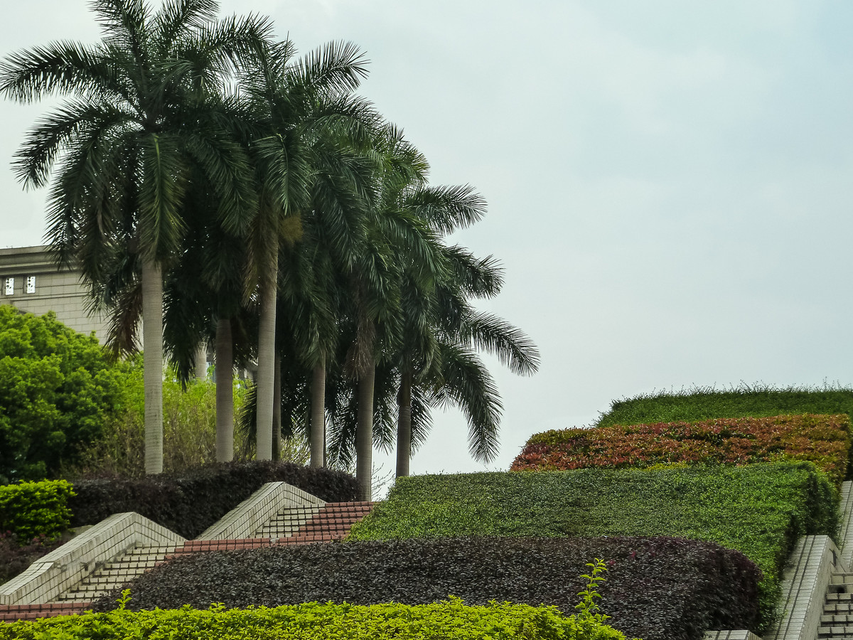 携小7游天河公园