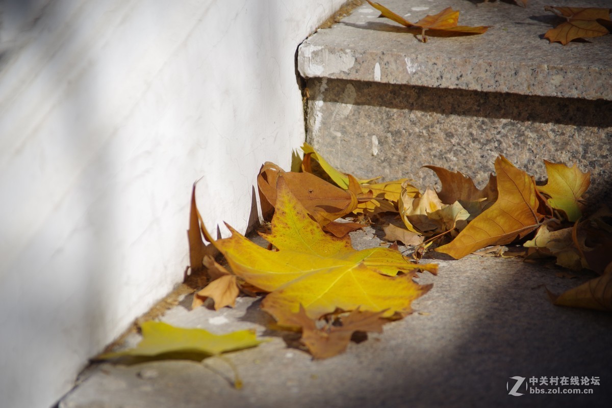 老光棍终于在双11把K1娶回家-试片