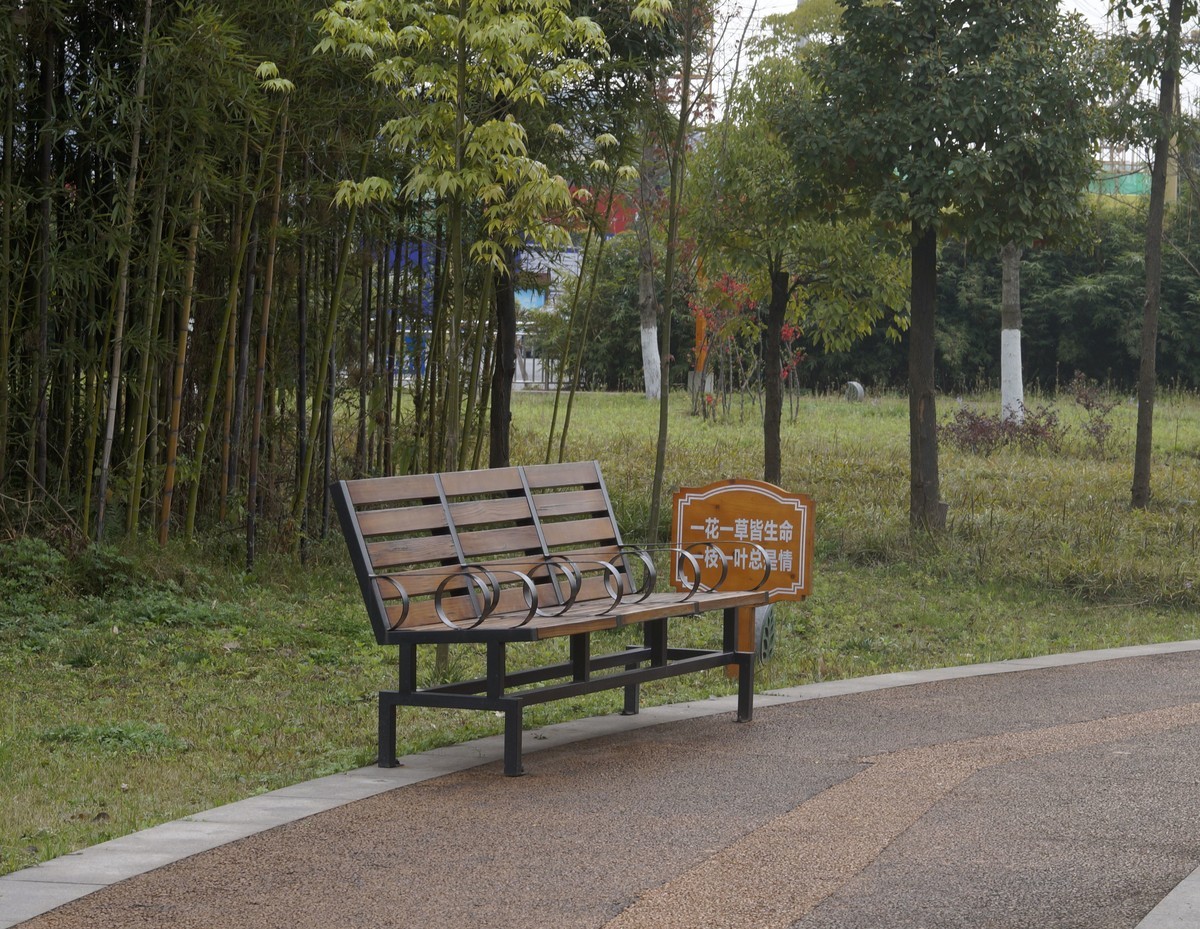 a3000搭配适马60mmf2.8 Art镜头拍摄效果