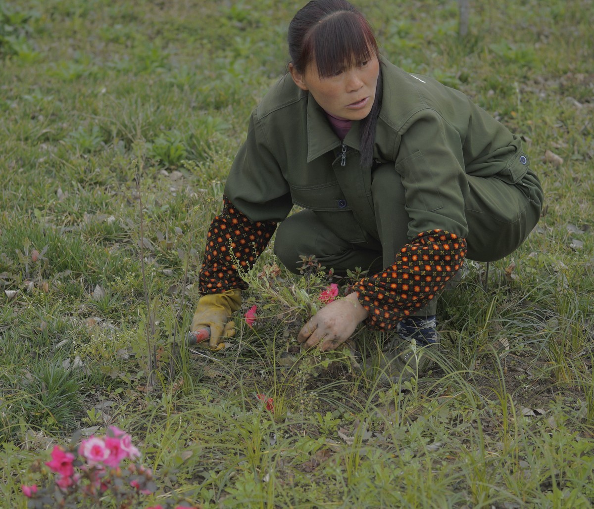 a3000搭配适马60mmf2.8 Art镜头拍摄效果